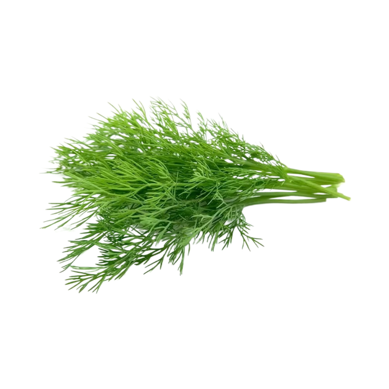 Fresh Dill 1 Piece - Eden's Market