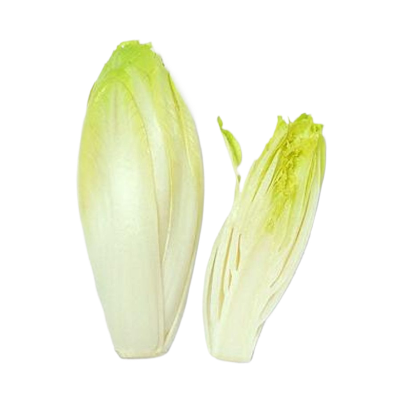 Fresh Chicory 1Kg - Eden's Market