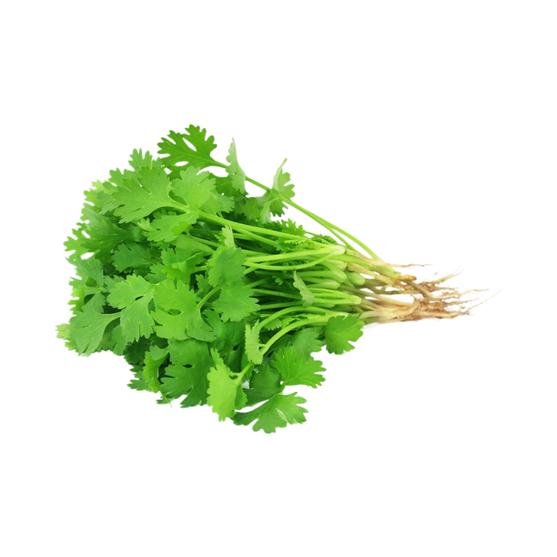 Fresh Coriander 1 Piece - Eden's Market