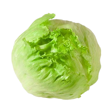 Iceberg Lettuce 1 Piece - Eden's Market