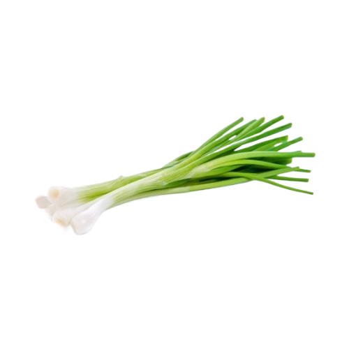 Fresh Green Onion 1 Piece - Eden's Market