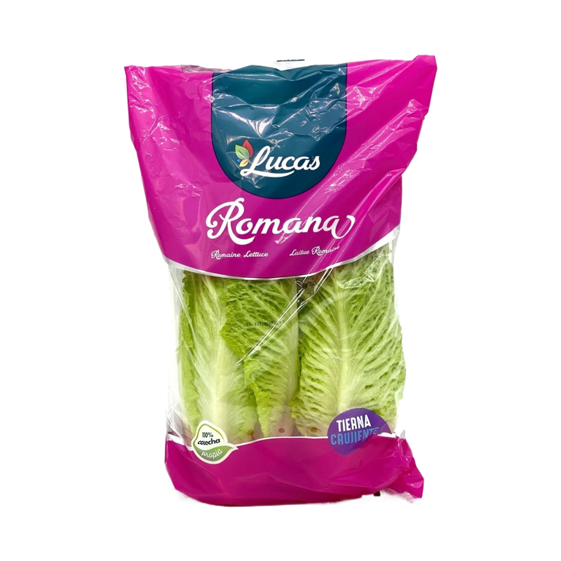 Romaine Lettuce 1 Piece - Eden's Market